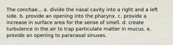 The conchae... a. divide the nasal cavity into a right and a left side. b. provide an opening into the pharynx. c. provide a increase in surface area for the sense of smell. d. create turbulence in the air to trap particulate matter in mucus. e. provide an opening to paranasal sinuses.