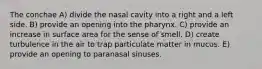 The conchae A) divide the nasal cavity into a right and a left side. B) provide an opening into the pharynx. C) provide an increase in surface area for the sense of smell. D) create turbulence in the air to trap particulate matter in mucus. E) provide an opening to paranasal sinuses.