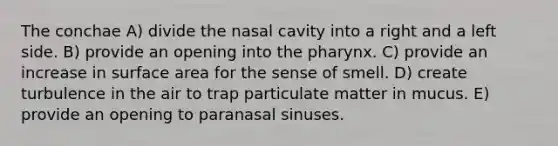 The conchae A) divide the nasal cavity into a right and a left side. B) provide an opening into the pharynx. C) provide an increase in surface area for the sense of smell. D) create turbulence in the air to trap particulate matter in mucus. E) provide an opening to paranasal sinuses.