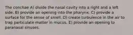 The conchae A) divide the nasal cavity into a right and a left side. B) provide an opening into the pharynx. C) provide a surface for the sense of smell. D) create turbulence in the air to trap particulate matter in mucus. E) provide an opening to paranasal sinuses.