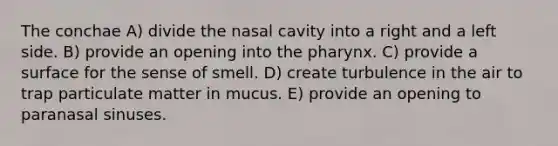 The conchae A) divide the nasal cavity into a right and a left side. B) provide an opening into <a href='https://www.questionai.com/knowledge/ktW97n6hGJ-the-pharynx' class='anchor-knowledge'>the pharynx</a>. C) provide a surface for the sense of smell. D) create turbulence in the air to trap particulate matter in mucus. E) provide an opening to paranasal sinuses.