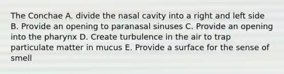 The Conchae A. divide the nasal cavity into a right and left side B. Provide an opening to paranasal sinuses C. Provide an opening into the pharynx D. Create turbulence in the air to trap particulate matter in mucus E. Provide a surface for the sense of smell