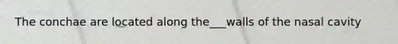 The conchae are located along the___walls of the nasal cavity