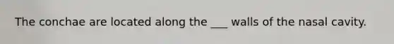 The conchae are located along the ___ walls of the nasal cavity.