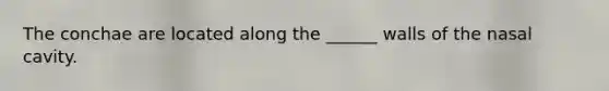 The conchae are located along the ______ walls of the nasal cavity.