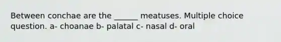 Between conchae are the ______ meatuses. Multiple choice question. a- choanae b- palatal c- nasal d- oral