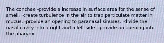 The conchae -provide a increase in surface area for the sense of smell. -create turbulence in the air to trap particulate matter in mucus. -provide an opening to paranasal sinuses. -divide the nasal cavity into a right and a left side. -provide an opening into the pharynx.