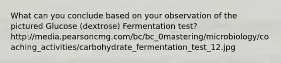 What can you conclude based on your observation of the pictured Glucose (dextrose) Fermentation test? http://media.pearsoncmg.com/bc/bc_0mastering/microbiology/coaching_activities/carbohydrate_fermentation_test_12.jpg