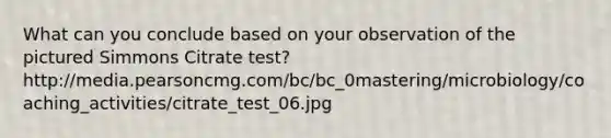 What can you conclude based on your observation of the pictured Simmons Citrate test? http://media.pearsoncmg.com/bc/bc_0mastering/microbiology/coaching_activities/citrate_test_06.jpg