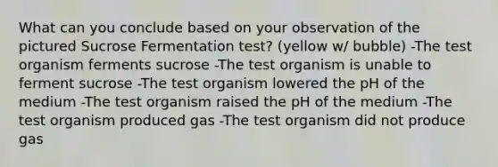 What can you conclude based on your observation of the pictured Sucrose Fermentation test? (yellow w/ bubble) -The test organism ferments sucrose -The test organism is unable to ferment sucrose -The test organism lowered the pH of the medium -The test organism raised the pH of the medium -The test organism produced gas -The test organism did not produce gas