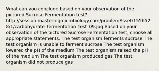 What can you conclude based on your observation of the pictured Sucrose Fermentation test? http://session.masteringmicrobiology.com/problemAsset/1556528/1/carbohydrate_fermentation_test_09.jpg Based on your observation of the pictured Sucrose Fermentation test, choose all appropriate statements. The test organism ferments sucrose The test organism is unable to ferment sucrose The test organism lowered the pH of the medium The test organism raised the pH of the medium The test organism produced gas The test organism did not produce gas