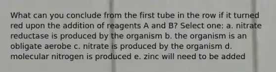 What can you conclude from the first tube in the row if it turned red upon the addition of reagents A and B? Select one: a. nitrate reductase is produced by the organism b. the organism is an obligate aerobe c. nitrate is produced by the organism d. molecular nitrogen is produced e. zinc will need to be added