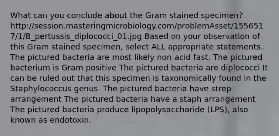 What can you conclude about the Gram stained specimen? http://session.masteringmicrobiology.com/problemAsset/1556517/1/B_pertussis_diplococci_01.jpg Based on your observation of this Gram stained specimen, select ALL appropriate statements. The pictured bacteria are most likely non-acid fast. The pictured bacterium is Gram positive The pictured bacteria are diplococci It can be ruled out that this specimen is taxonomically found in the Staphylococcus genus. The pictured bacteria have strep arrangement The pictured bacteria have a staph arrangement The pictured bacteria produce lipopolysaccharide (LPS), also known as endotoxin.