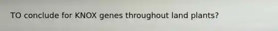 TO conclude for KNOX genes throughout land plants?