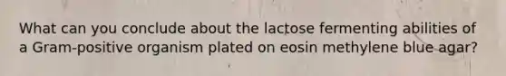 What can you conclude about the lactose fermenting abilities of a Gram-positive organism plated on eosin methylene blue agar?