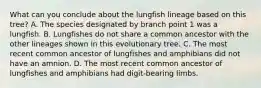 What can you conclude about the lungfish lineage based on this tree? A. The species designated by branch point 1 was a lungfish. B. Lungfishes do not share a common ancestor with the other lineages shown in this evolutionary tree. C. The most recent common ancestor of lungfishes and amphibians did not have an amnion. D. The most recent common ancestor of lungfishes and amphibians had digit-bearing limbs.