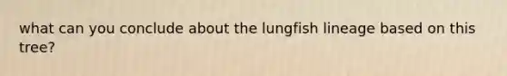 what can you conclude about the lungfish lineage based on this tree?