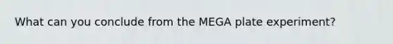 What can you conclude from the MEGA plate experiment?