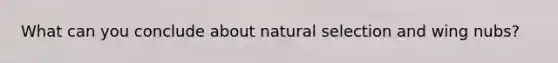 What can you conclude about natural selection and wing nubs?