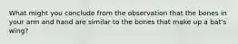 What might you conclude from the observation that the bones in your arm and hand are similar to the bones that make up a bat's wing?