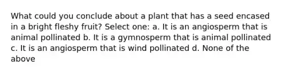 What could you conclude about a plant that has a seed encased in a bright fleshy fruit? Select one: a. It is an angiosperm that is animal pollinated b. It is a gymnosperm that is animal pollinated c. It is an angiosperm that is wind pollinated d. None of the above