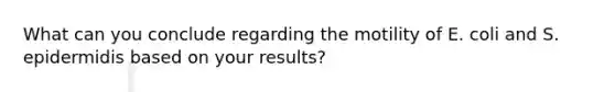 What can you conclude regarding the motility of E. coli and S. epidermidis based on your results?