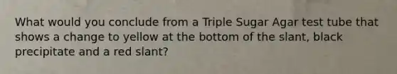 What would you conclude from a Triple Sugar Agar test tube that shows a change to yellow at the bottom of the slant, black precipitate and a red slant?