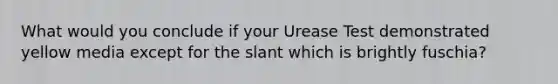 What would you conclude if your Urease Test demonstrated yellow media except for the slant which is brightly fuschia?