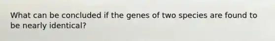 What can be concluded if the genes of two species are found to be nearly identical?