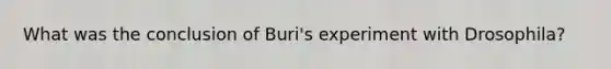 What was the conclusion of Buri's experiment with Drosophila?