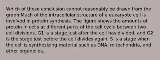 Which of these conclusion cannot reasonably be drawn from the graph:Much of the intracellular structure of a eukaryote cell is involved in protein synthesis. The figure shows the amounts of protein in cells at different parts of the cell cycle between two cell divisions. G1 is a stage just after the cell has divided, and G2 is the stage just before the cell divides again. S is a stage when the cell is synthesizing material such as DNA, mitochondria, and other organelles.