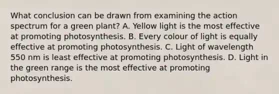 What conclusion can be drawn from examining the action spectrum for a green plant? A. Yellow light is the most effective at promoting photosynthesis. B. Every colour of light is equally effective at promoting photosynthesis. C. Light of wavelength 550 nm is least effective at promoting photosynthesis. D. Light in the green range is the most effective at promoting photosynthesis.