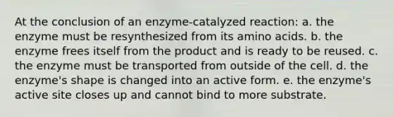 At the conclusion of an enzyme-catalyzed reaction: a. the enzyme must be resynthesized from its amino acids. b. the enzyme frees itself from the product and is ready to be reused. c. the enzyme must be transported from outside of the cell. d. the enzyme's shape is changed into an active form. e. the enzyme's active site closes up and cannot bind to more substrate.