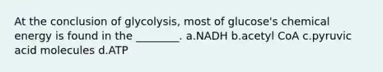 At the conclusion of glycolysis, most of glucose's chemical energy is found in the ________. a.NADH b.acetyl CoA c.pyruvic acid molecules d.ATP