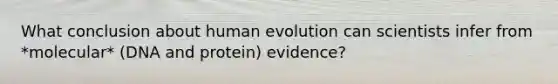 What conclusion about human evolution can scientists infer from *molecular* (DNA and protein) evidence?