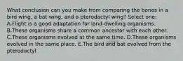 What conclusion can you make from comparing the bones in a bird wing, a bat wing, and a pterodactyl wing? Select one: A.Flight is a good adaptation for land-dwelling organisms. B.These organisms share a common ancestor with each other. C.These organisms evolved at the same time. D.These organisms evolved in the same place. E.The bird and bat evolved from the pterodactyl