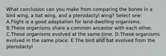 What conclusion can you make from comparing the bones in a bird wing, a bat wing, and a pterodactyl wing? Select one: A.Flight is a good adaptation for land-dwelling organisms. B.These organisms share a common ancestor with each other. C.These organisms evolved at the same time. D.These organisms evolved in the same place. E.The bird and bat evolved from the pterodactyl