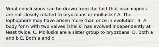 What conclusions can be drawn from the fact that brachiopods are not closely related to bryozoans or mollusks? A. The lophophore may have arisen more than once in evolution. B. A body form with two valves (shells) has evolved independently at least twice. C. Mollusks are a sister group to bryozoans. D. Both a and b E. Both a and c