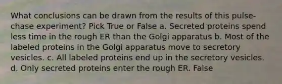 What conclusions can be drawn from the results of this pulse-chase experiment? Pick True or False a. Secreted proteins spend less time in the rough ER than the Golgi apparatus b. Most of the labeled proteins in the Golgi apparatus move to secretory vesicles. c. All labeled proteins end up in the secretory vesicles. d. Only secreted proteins enter the rough ER. False