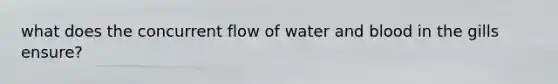 what does the concurrent flow of water and blood in the gills ensure?