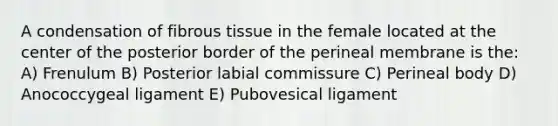 A condensation of fibrous tissue in the female located at the center of the posterior border of the perineal membrane is the: A) Frenulum B) Posterior labial commissure C) Perineal body D) Anococcygeal ligament E) Pubovesical ligament