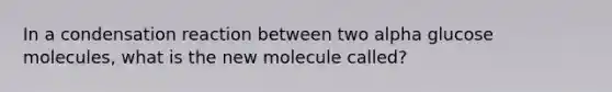 In a condensation reaction between two alpha glucose molecules, what is the new molecule called?