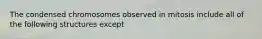 The condensed chromosomes observed in mitosis include all of the following structures except