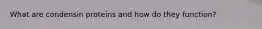 What are condensin proteins and how do they function?