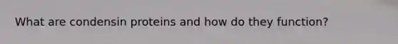 What are condensin proteins and how do they function?