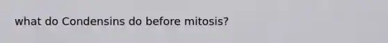 what do Condensins do before mitosis?