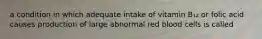 a condition in which adequate intake of vitamin B₁₂ or folic acid causes production of large abnormal red blood cells is called