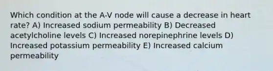 Which condition at the A-V node will cause a decrease in heart rate? A) Increased sodium permeability B) Decreased acetylcholine levels C) Increased norepinephrine levels D) Increased potassium permeability E) Increased calcium permeability