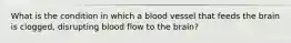 What is the condition in which a blood vessel that feeds the brain is clogged, disrupting blood flow to the brain?