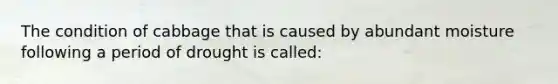 The condition of cabbage that is caused by abundant moisture following a period of drought is called: